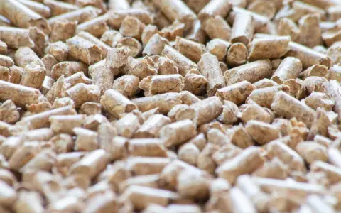 Un primo piano di pellet di legno, un combustibile ecologico. Cos'è il pellet? Piccoli cilindri di segatura compressa, ideali per stufe e camini.