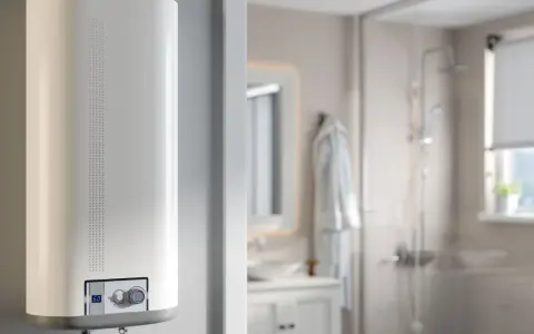 Scaldabagno bianco moderno in un bagno. Potrebbe essere la causa del fischio.