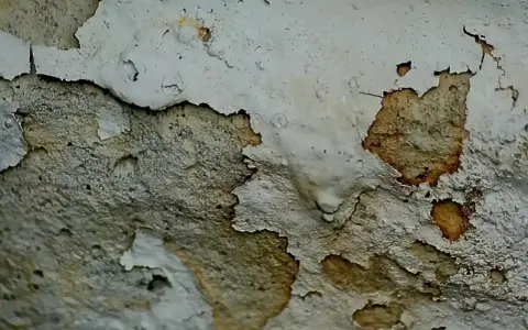 Muri scrostati con macchie scure, segno di umidità. Ecco come evitare muffa in casa.