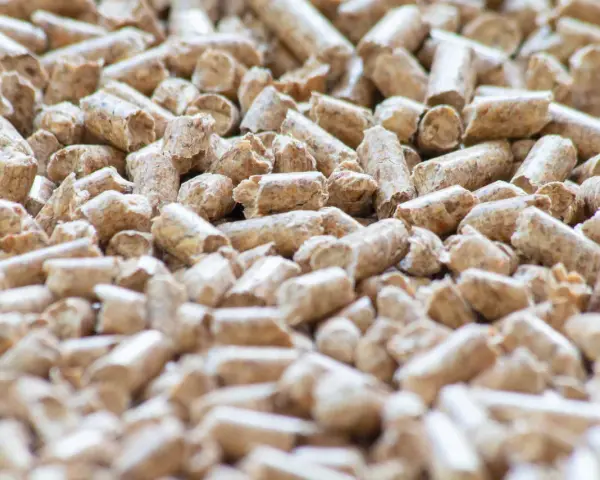 Un primo piano di pellet di legno, un combustibile ecologico. Cos'è il pellet? Piccoli cilindri di segatura compressa, ideali per stufe e camini.