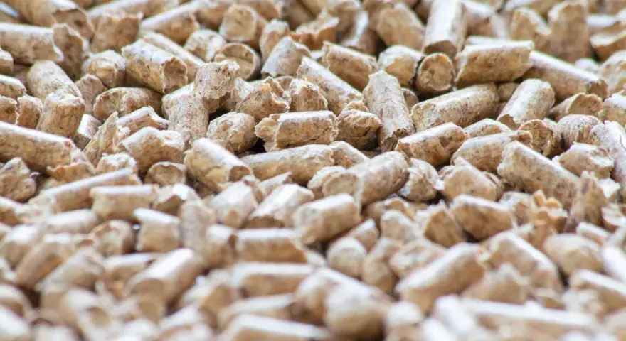 Un primo piano di pellet di legno, un combustibile ecologico. Cos'è il pellet? Piccoli cilindri di segatura compressa, ideali per stufe e camini.