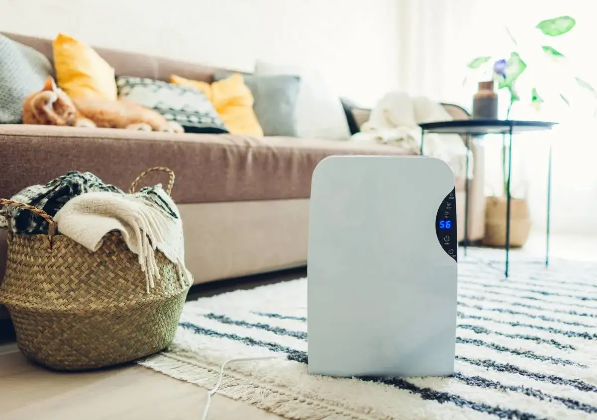 Un deumidificatore bianco mostra 56% di umidit&agrave;, ideale per sapere come impostare il deumidificatore in estate per un ambiente confortevole.